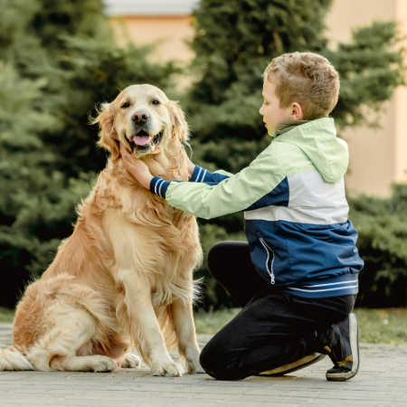 Dogs have an innate ability to connect with humans on a deep, emotional level.
