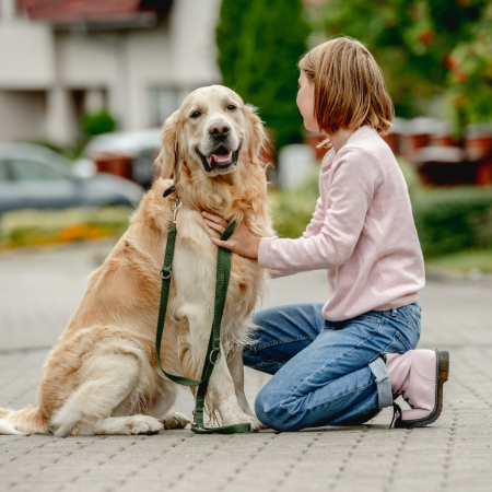 If the individual interacts with the dog or completes a task independently, celebrate! Positive reinforcement works for both dogs and humans.