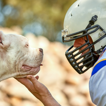 Dogs have an almost magical ability to make people feel better. 