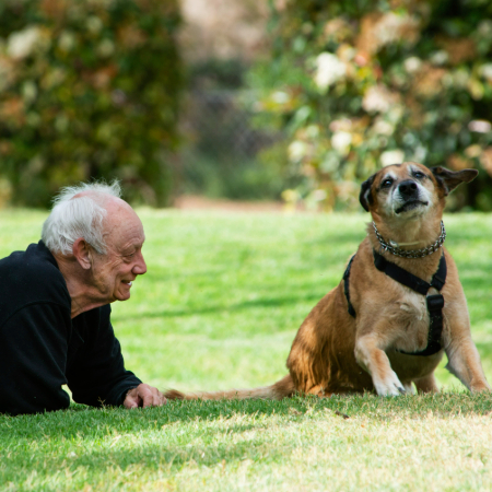 Repetitive behaviors can be signs of anxiety, boredom, or even medical issues.