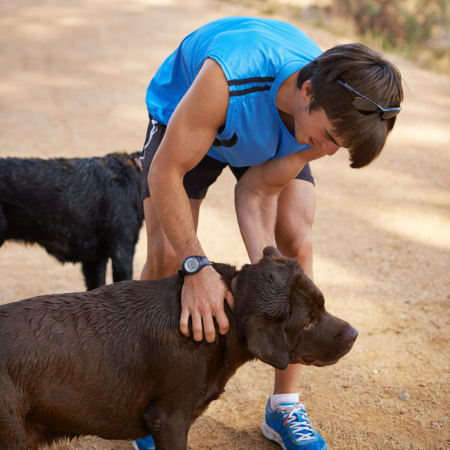 You don’t have to be a professional athlete to enjoy the benefits of a dog in sports therapy.