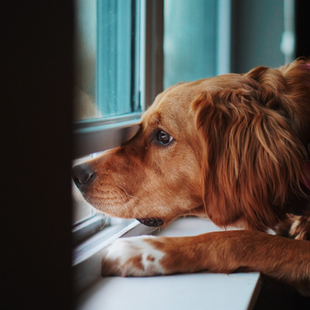 Loneliness often comes hand-in-hand with a lack of structure in our lives. 