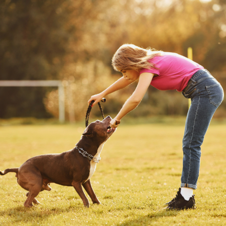 Positive dog training, also known as reward-based training, is all about encouraging good behavior through rewards. 