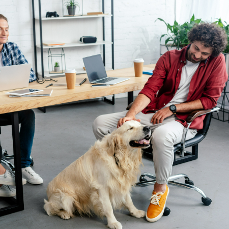 If your company frequently hosts clients, make sure they’re comfortable with dogs being around. You can also have designated pet-free meeting spaces to accommodate visitors.
