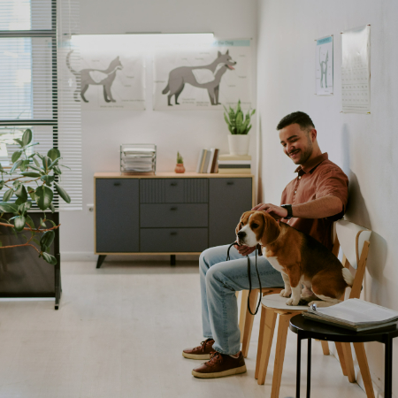 Studies have shown that interacting with dogs can lower stress and increase happiness. A simple belly rub or playing fetch during a break can turn a bad day around.