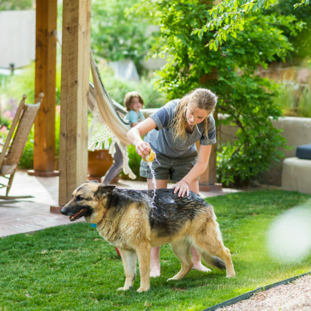 Dogs are curious creatures, and they love to munch on things they shouldn’t. 