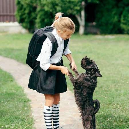 By the 19th and 20th centuries, dogs had fully secured their spot as “man’s best friend.”