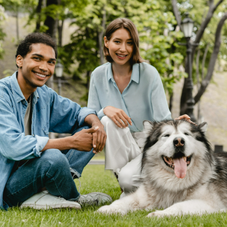 Dogs don’t always cause harm to people. Sometimes, they’re just a little too excited or mischievous and end up destroying property.