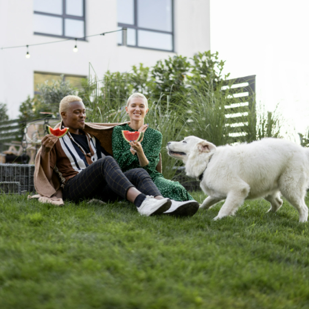 Once you’ve designed a dog-friendly yard, regular maintenance is key.