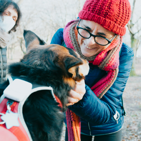 Organizations like the National Disaster Search Dog Foundation (SDF) train these canine heroes to work alongside first responders in life-or-death situations.