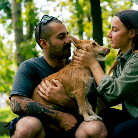 As a dog owner, you are required by law to ensure that your dog is well-behaved, healthy, and doesn’t cause harm to others.