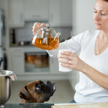 Bathing your dog helps wash away pollen, dust, and other allergens clinging to their fur. Use a gentle, hypoallergenic shampoo designed for sensitive skin.